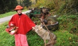 Olupina je sve više, a košara se prazni. 
