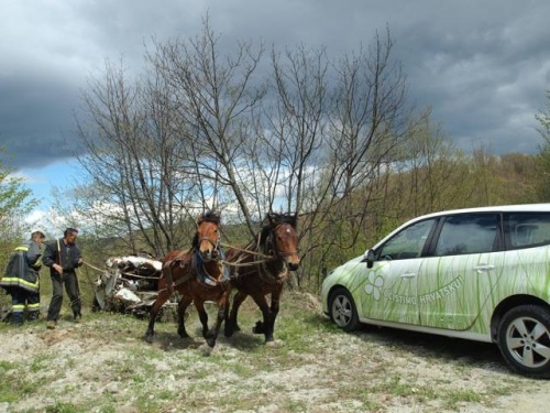 Romeo Ibrišević, Renault  i \