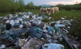 Ako je ova voda plaćena, propade sav posao