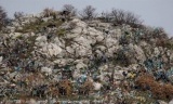 Brdo sa rijetkim raslinjem zatrpavaju vrećice
